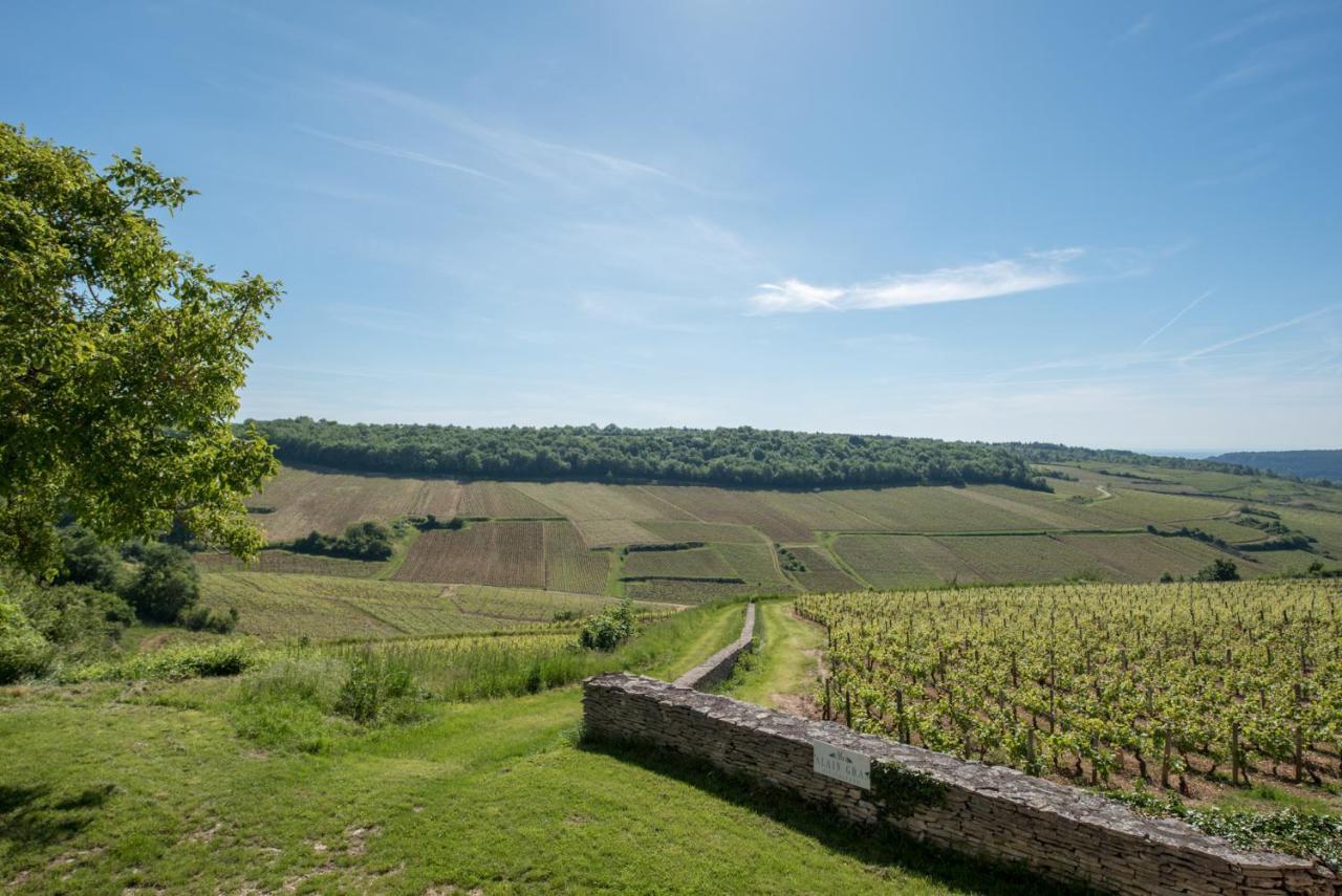 Chez Joseph - Au Coeur Des Vignes De Saint-Romain Esterno foto